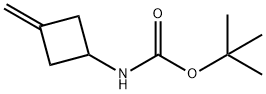 CAS#130369 - 04-9|TERT-Butyl (3-methylenecyclobutyl) carbamate